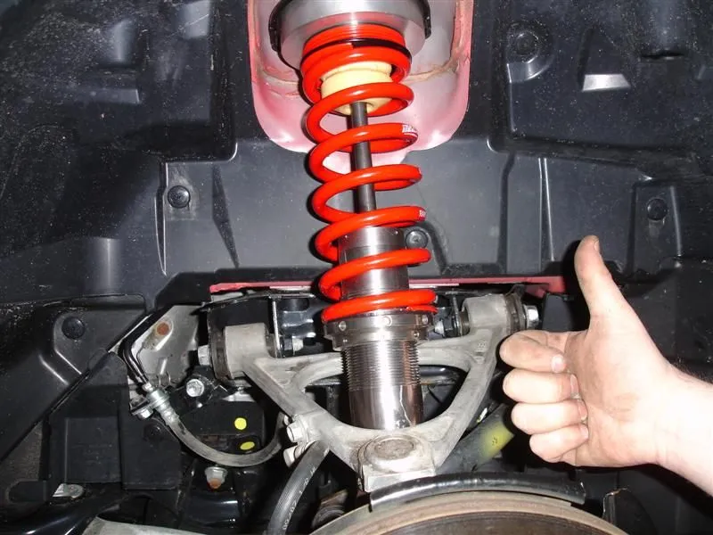 DSC02135 (Medium).webp