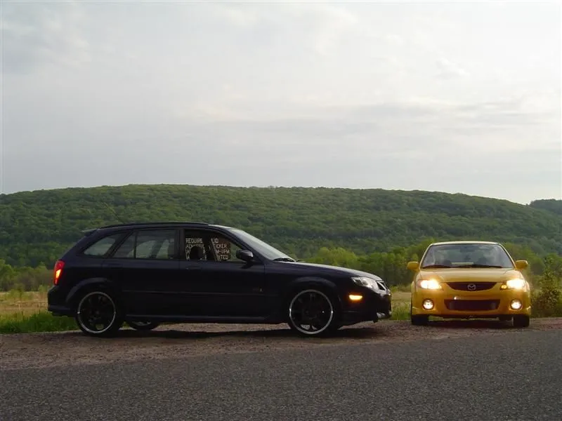 DSC02164 (Medium).webp