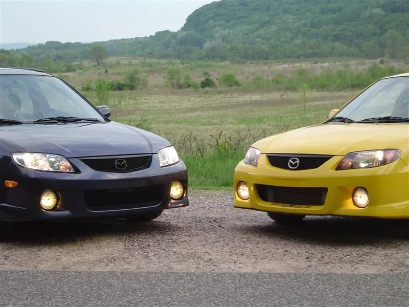 DSC02172 (Medium).webp