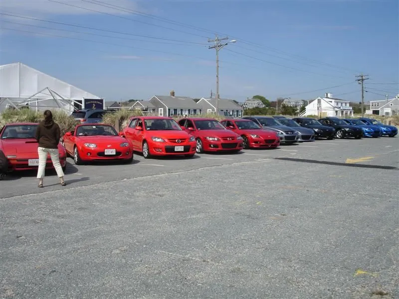 DSC02179 (Medium).webp