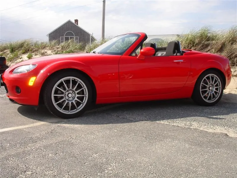 DSC02185 (Medium).webp