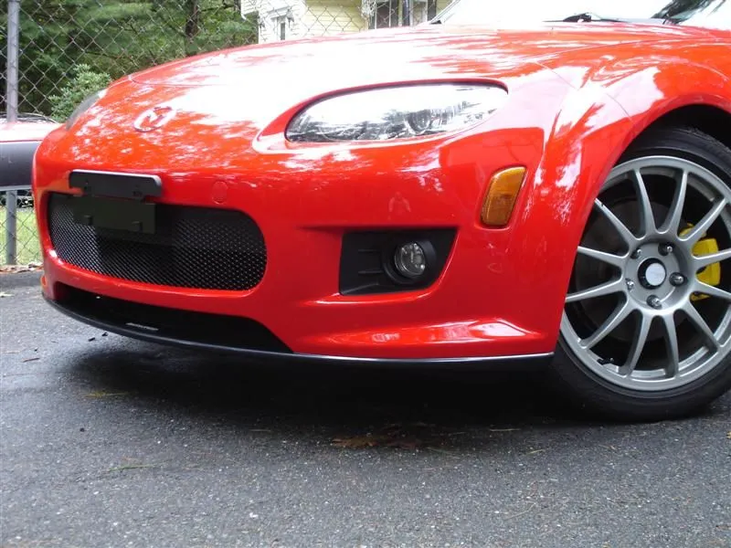 DSC02392 (Medium).webp