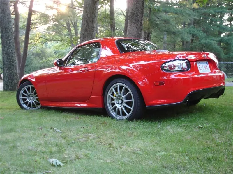 DSC02400 (Medium).webp