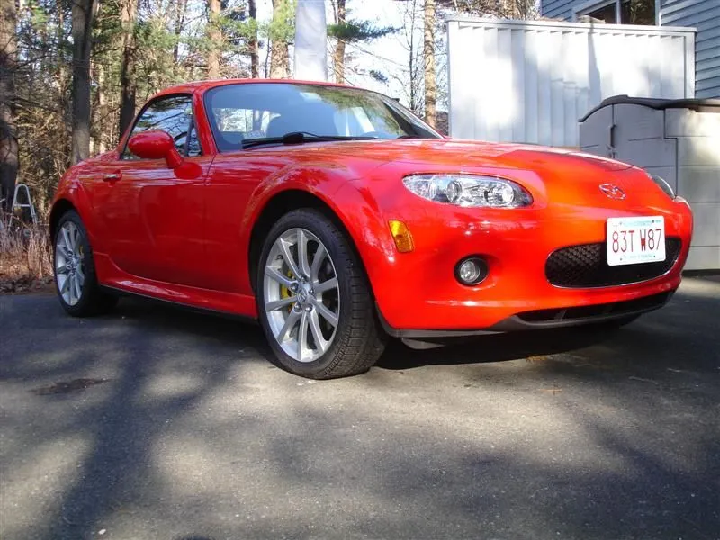 DSC02565 (Medium).webp