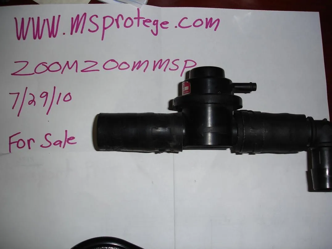 DSC02628.webp