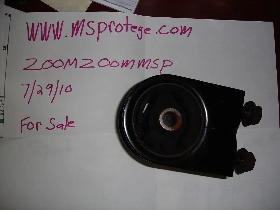 DSC02629.webp