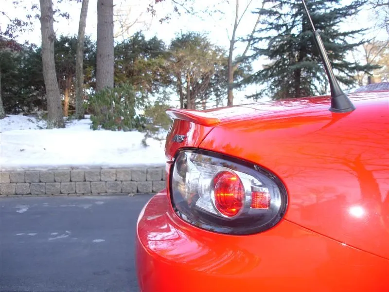 DSC02677 (Medium).webp