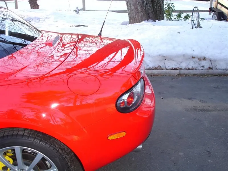 DSC02680 (Medium).webp