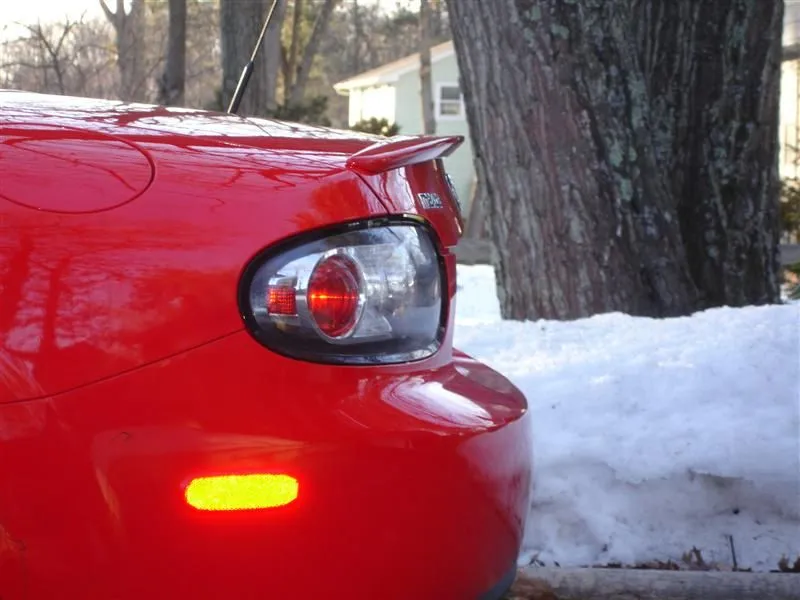 DSC02681 (Medium).webp