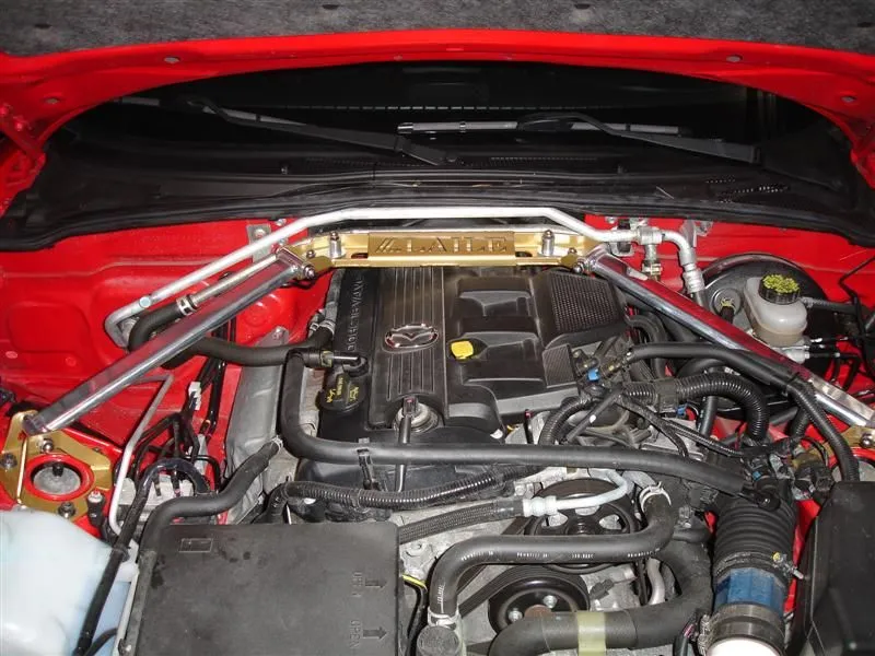 DSC02683 (Medium).webp