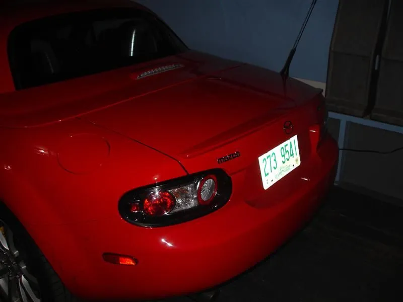 DSC02684 (Medium).webp