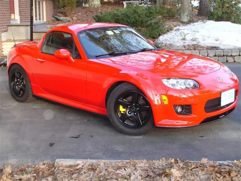 DSC02690 (Medium).webp