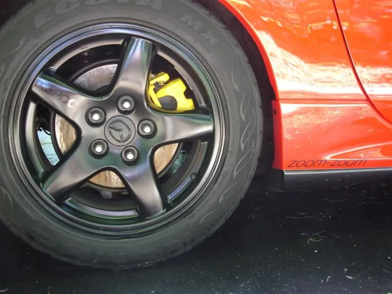 DSC02816 (Medium).webp