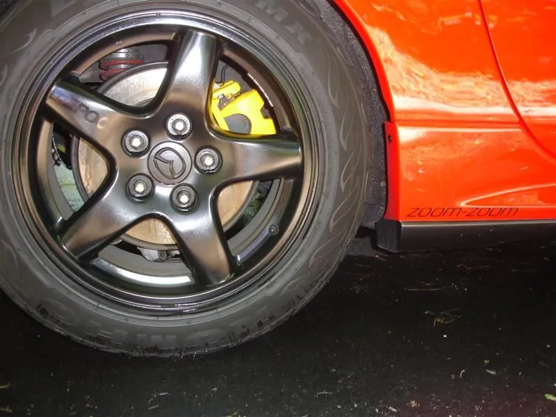 DSC02817 (Medium).webp