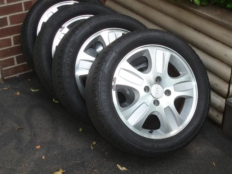 DSC02976 (Medium).webp