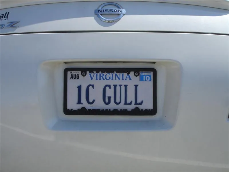 DSC02993 (Medium).webp