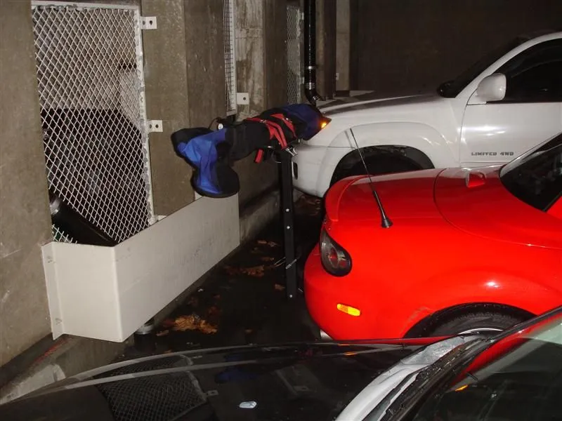 DSC03303 (Medium).webp