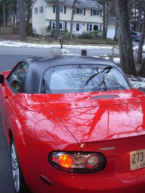 DSC03308 (Medium).webp