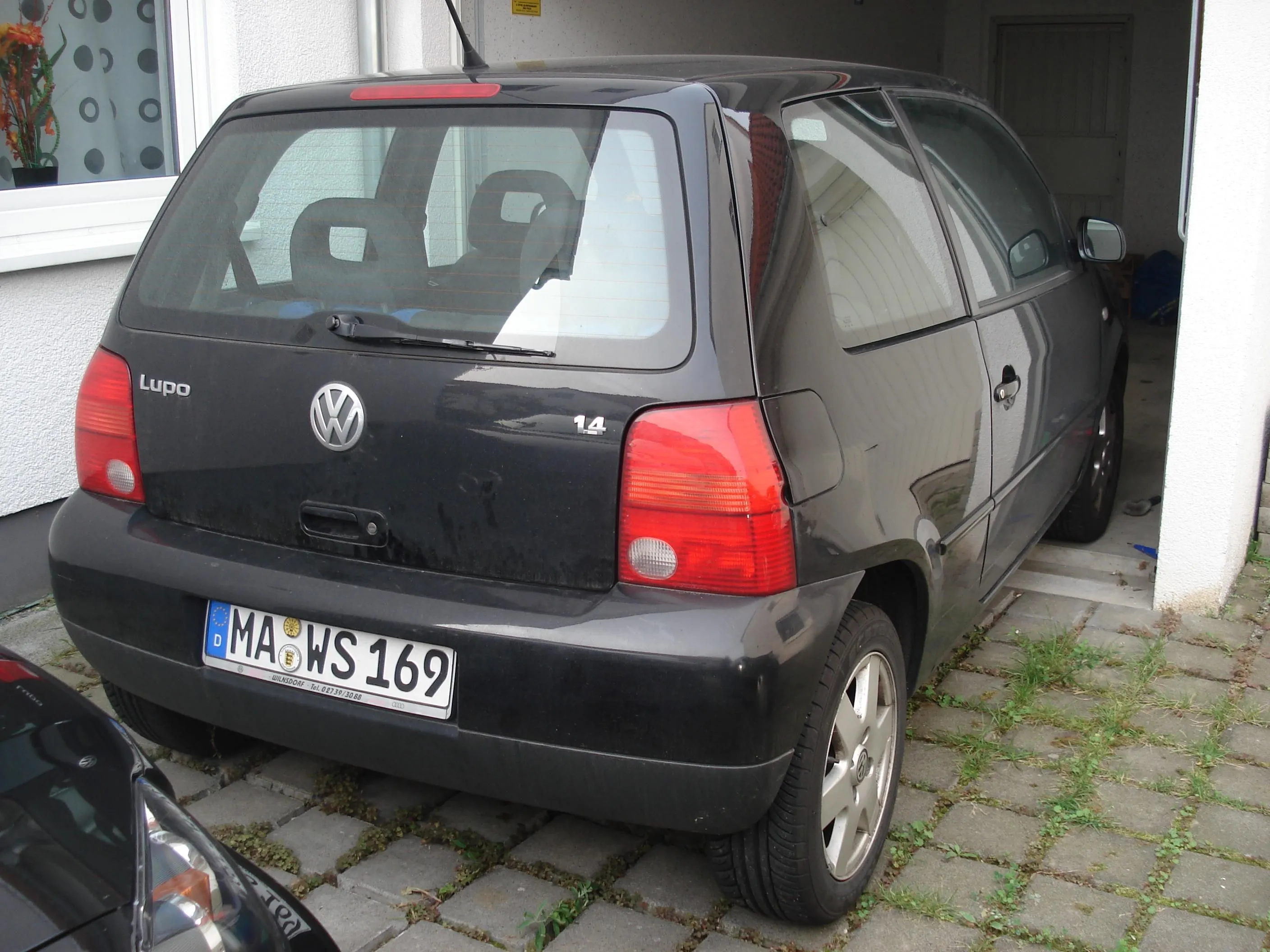 DSC06855.JPG