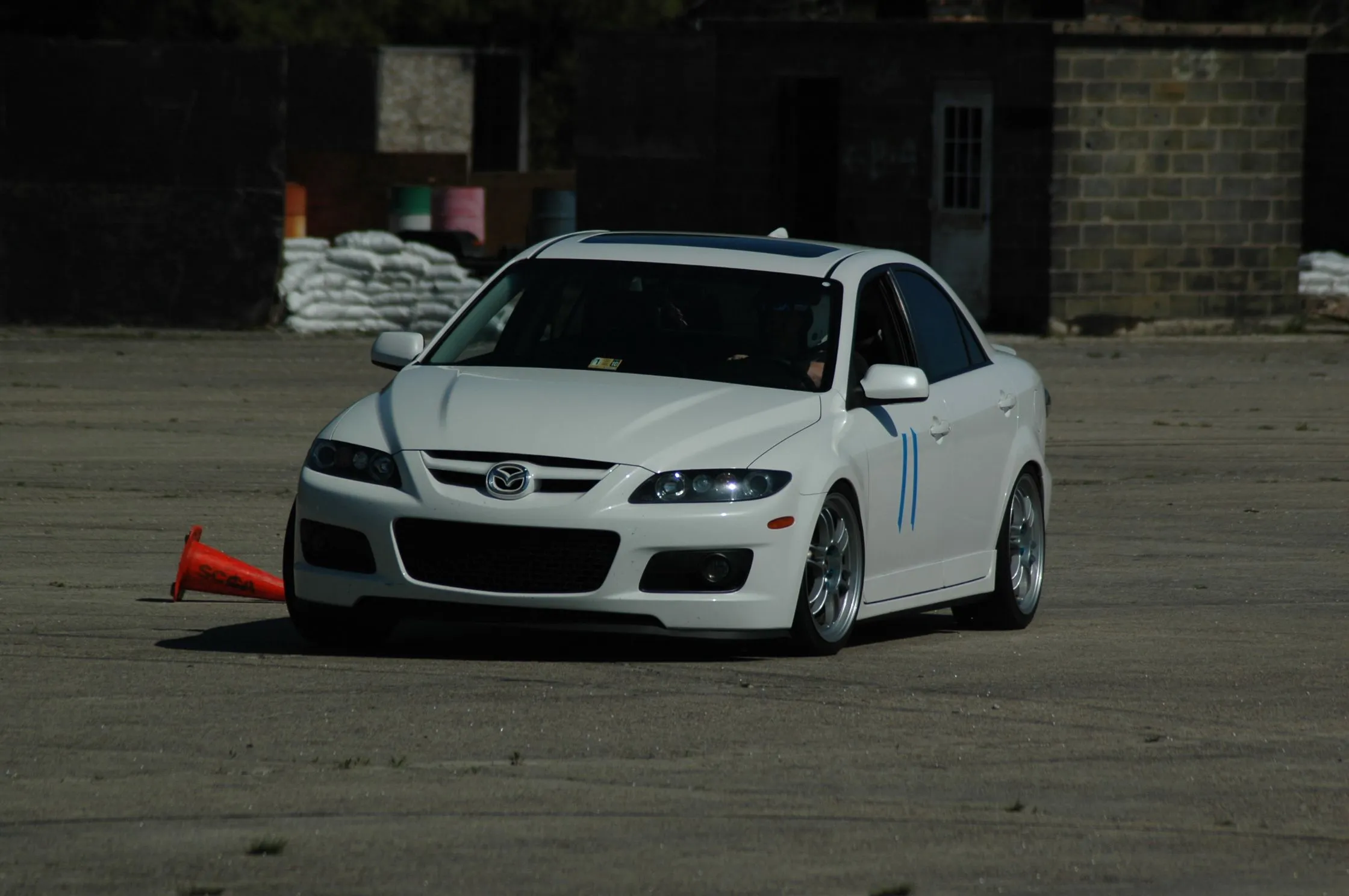 dsc1.JPG