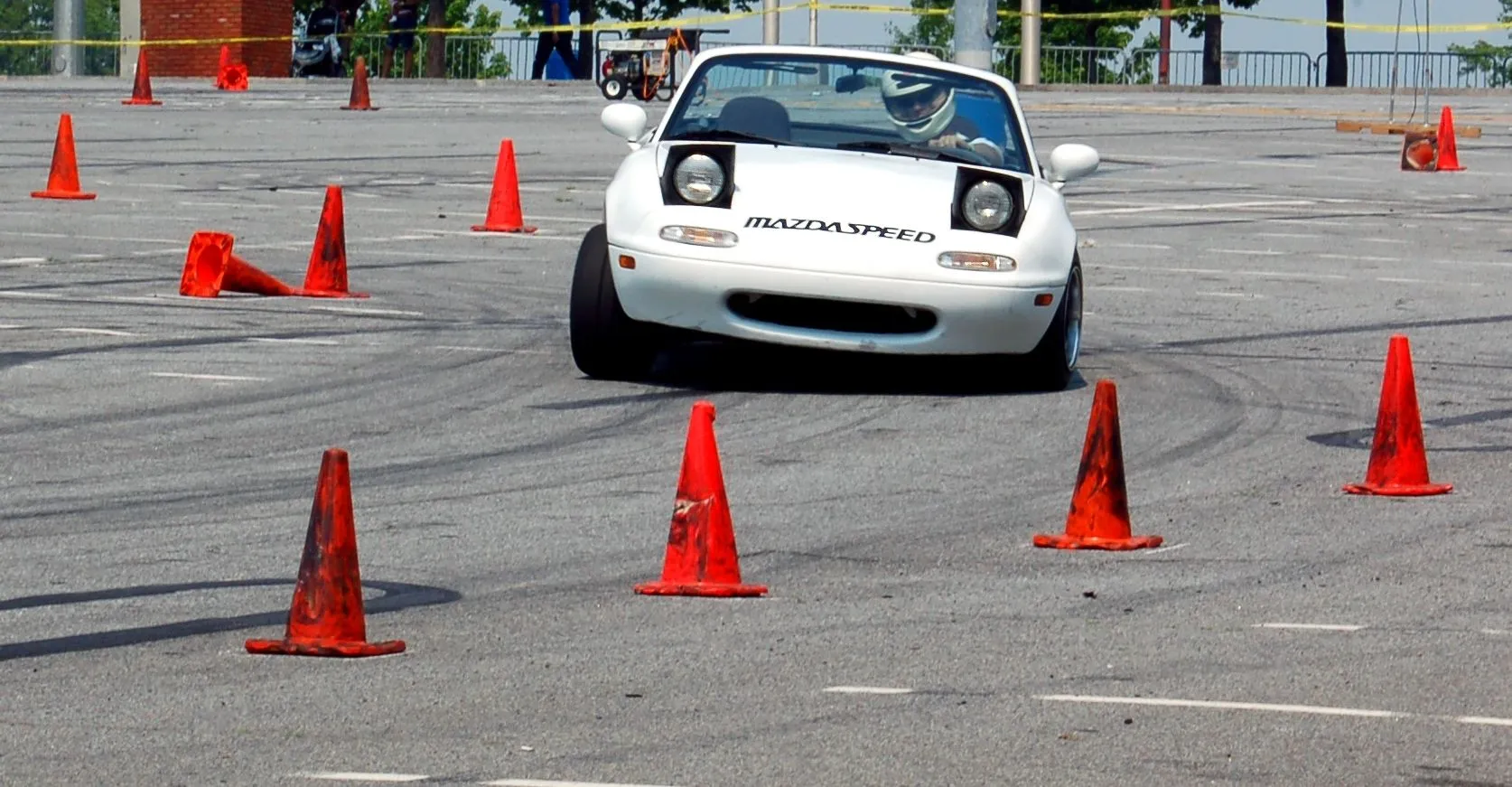 DSC_0287 copy crop.webp