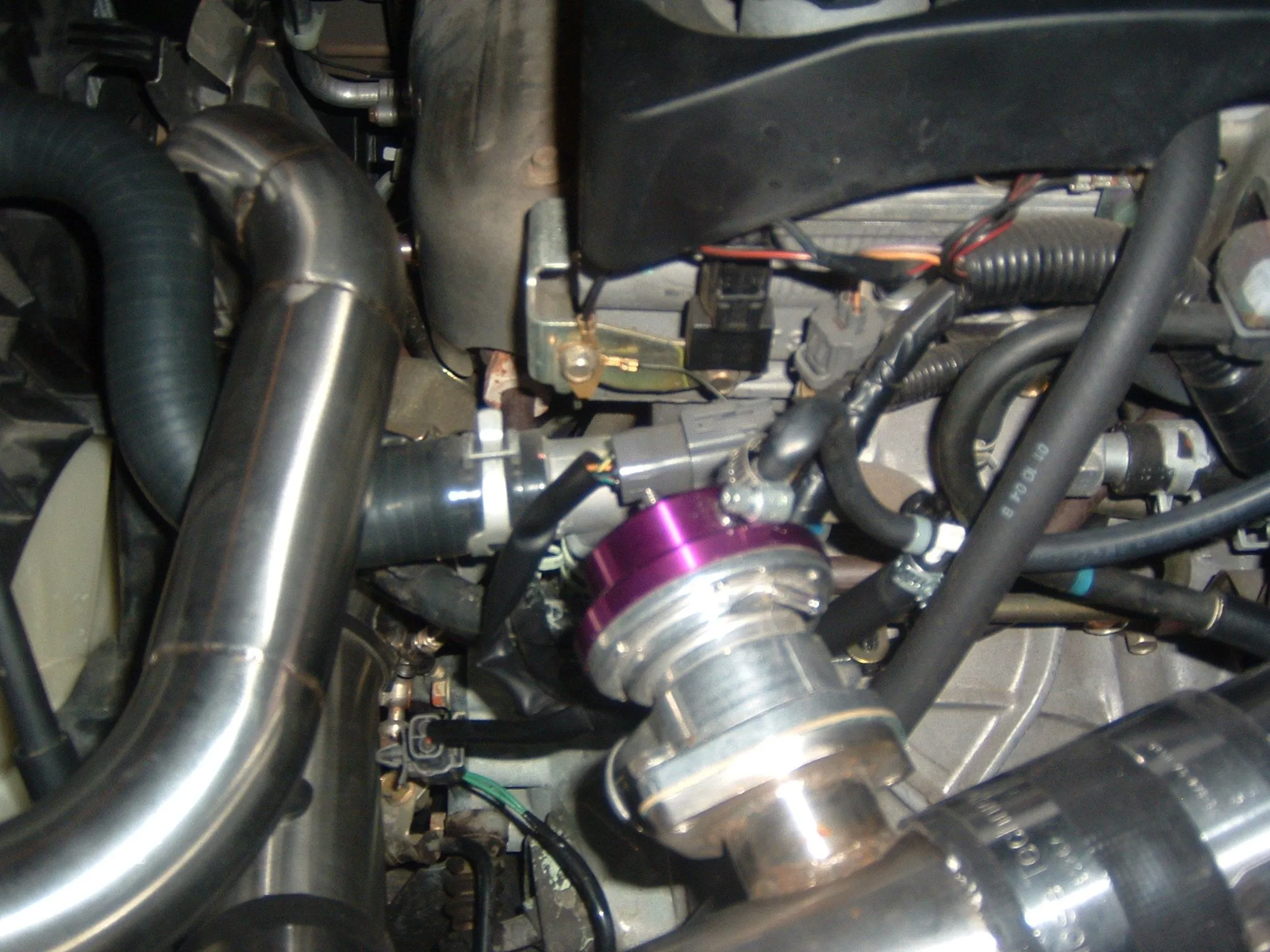 DSCF0071.JPG