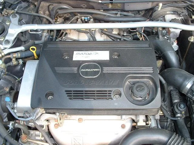 DSCF0161.JPG