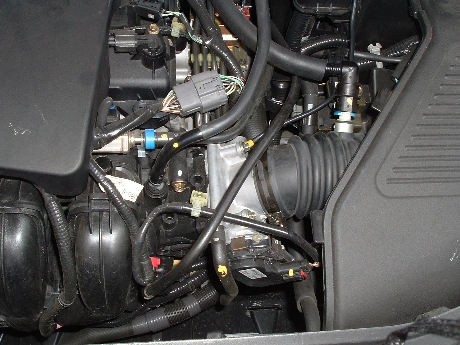 DSCF0380.JPG