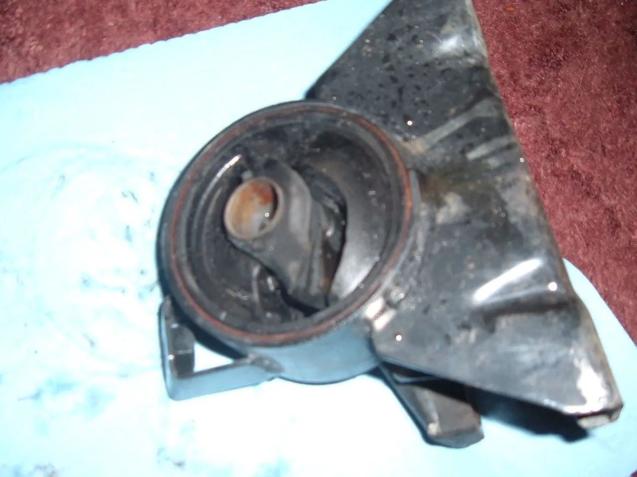 DSCF0446.JPG