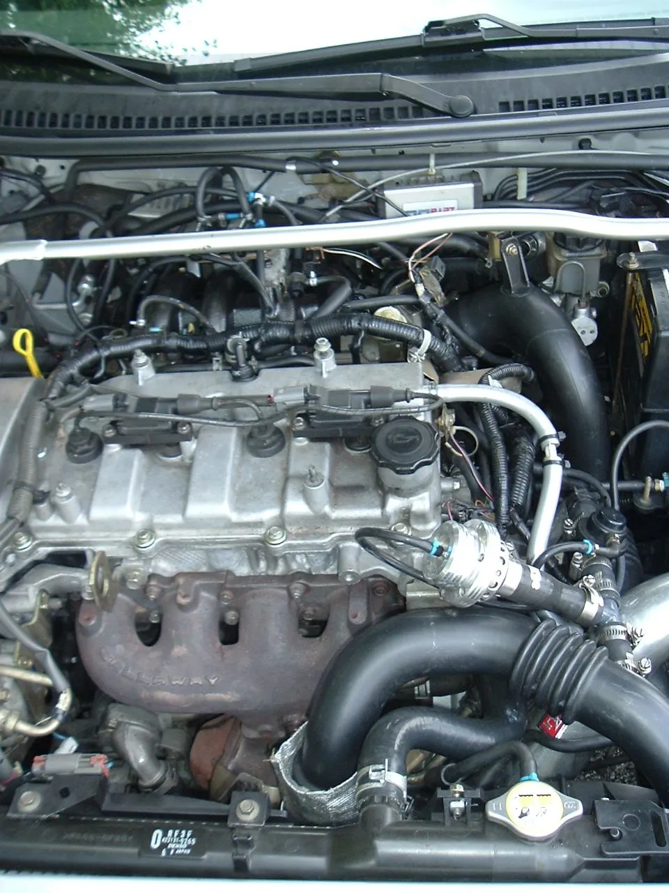 DSCF0508.JPG