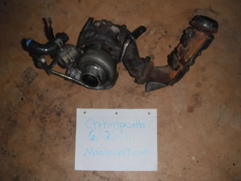 DSCF0528.webp
