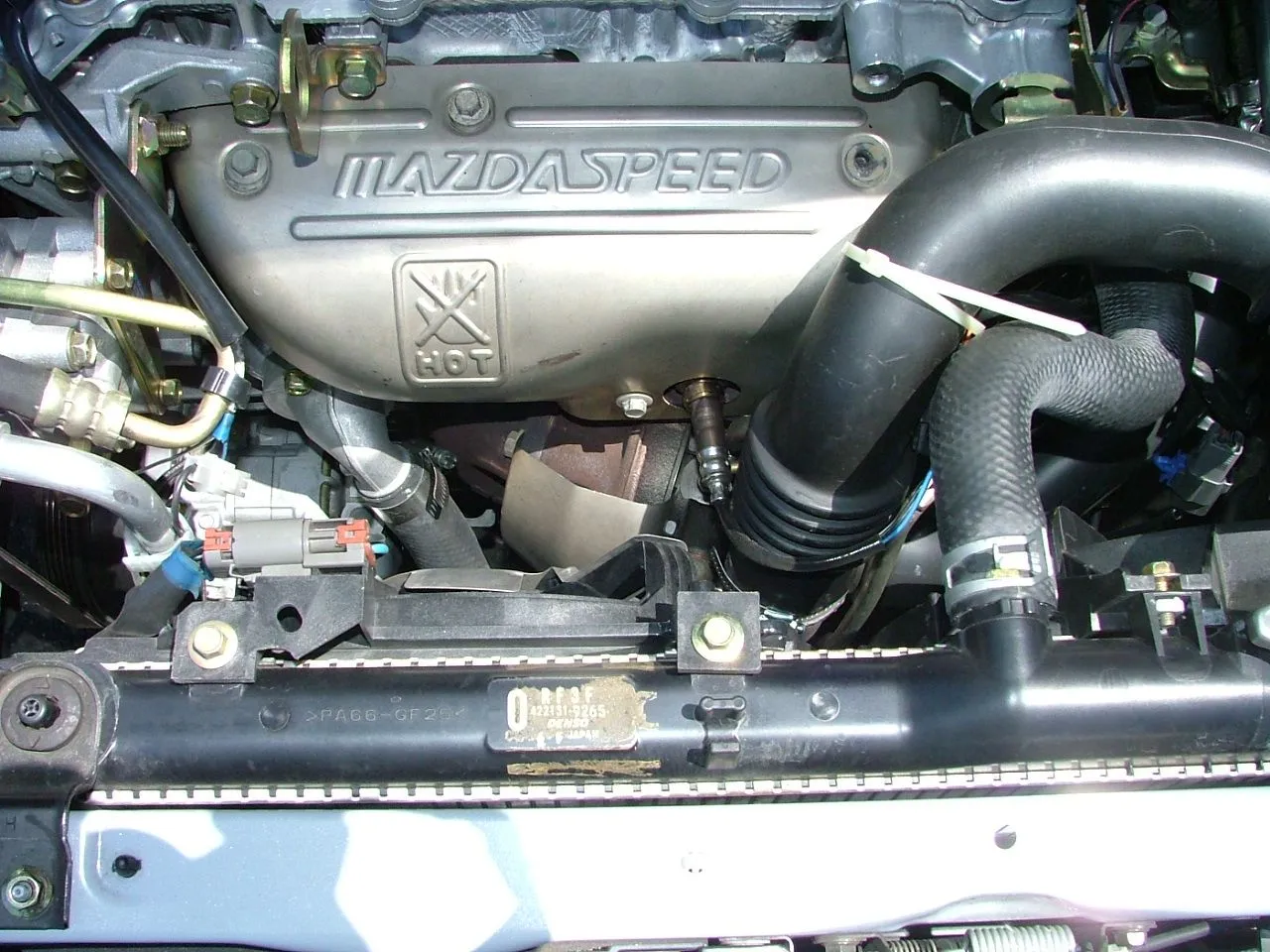 DSCF0790.JPG