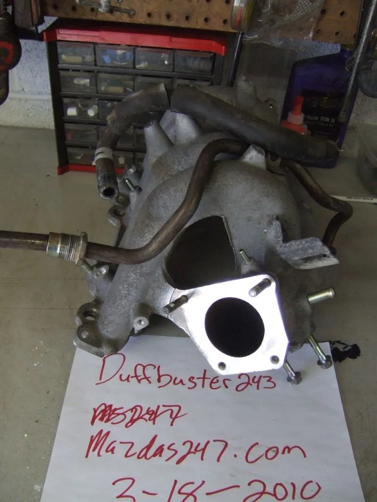 DSCF4374.webp