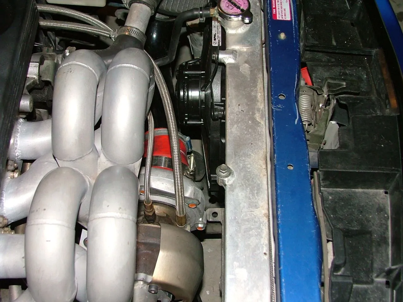 DSCF4981.JPG