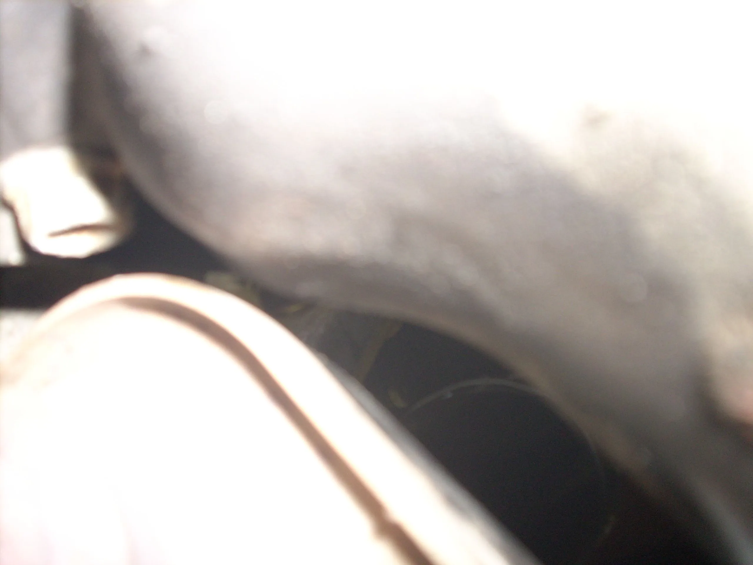 DSCI0371.JPG