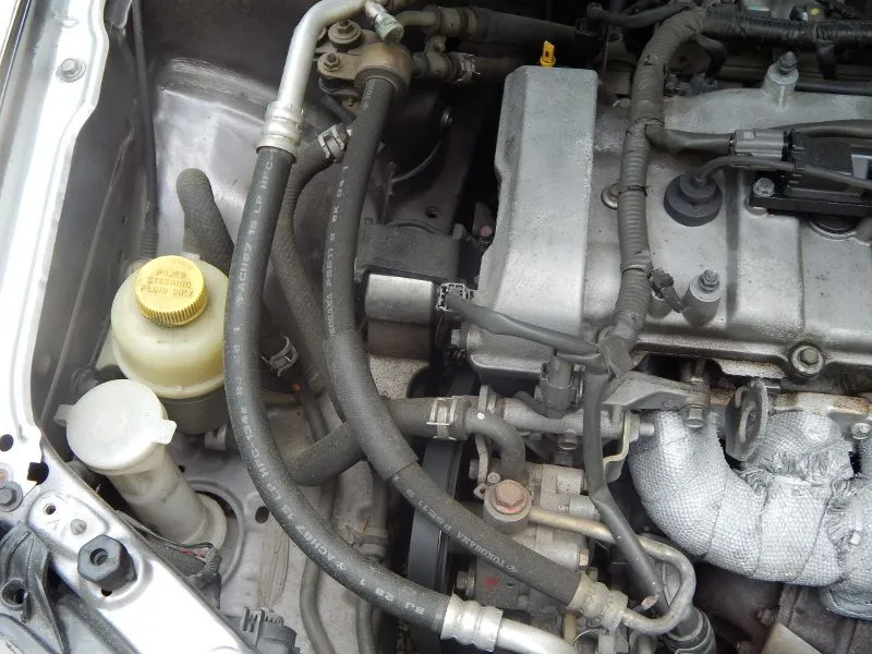 DSCN0222.webp