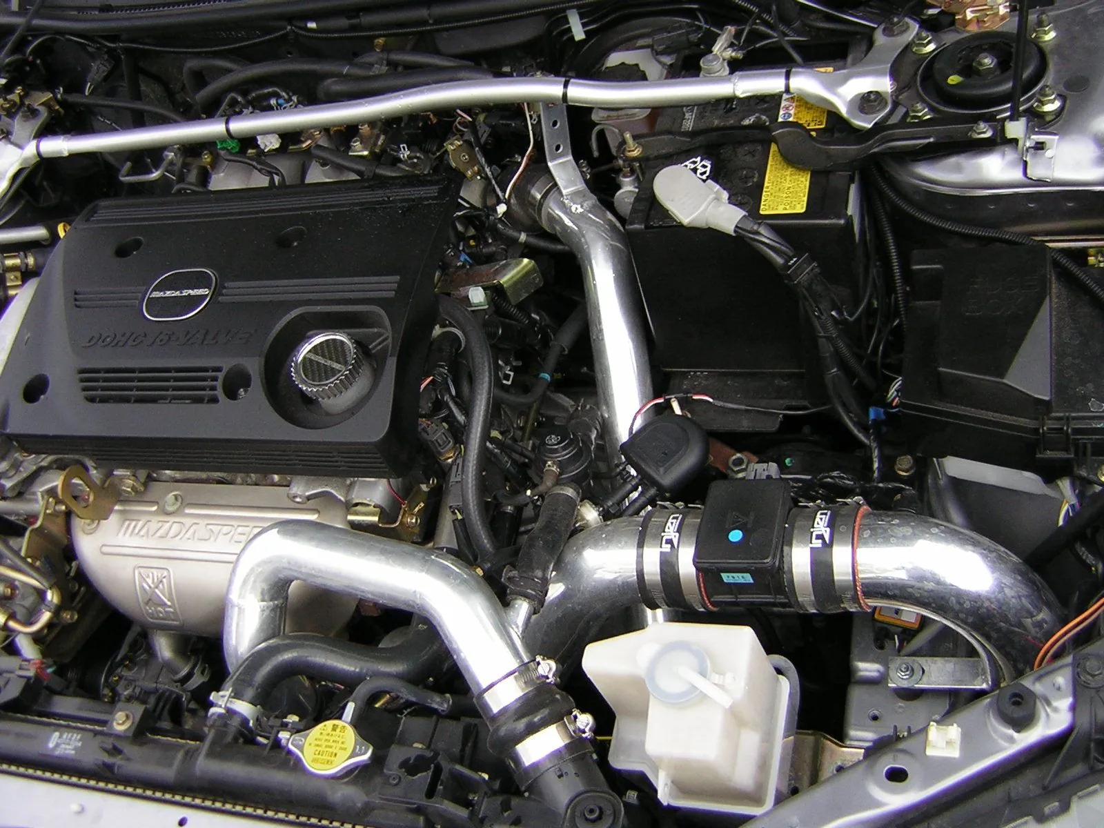DSCN0305.JPG