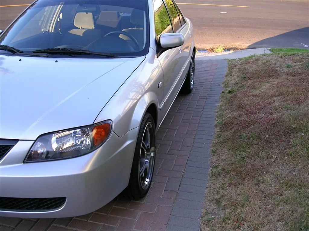 DSCN0373 (Large).webp