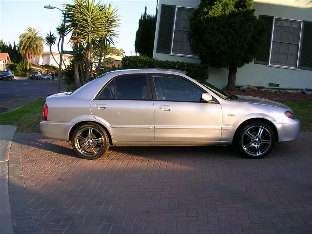 DSCN0375 (Large).webp