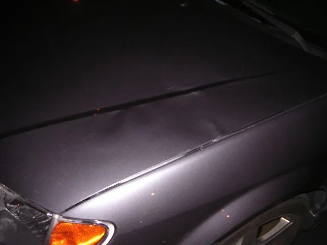 DSCN0455.JPG