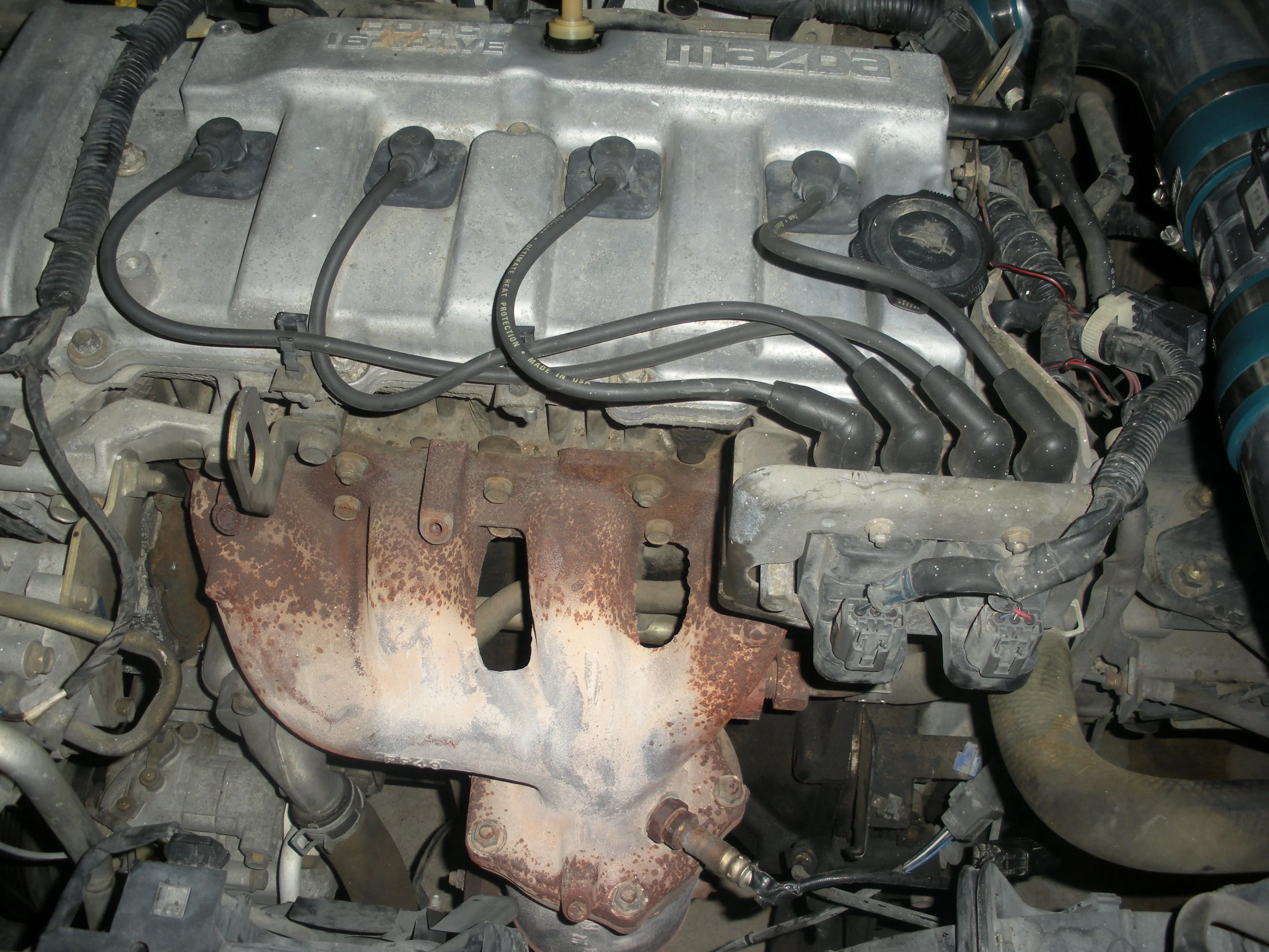 DSCN0581.JPG