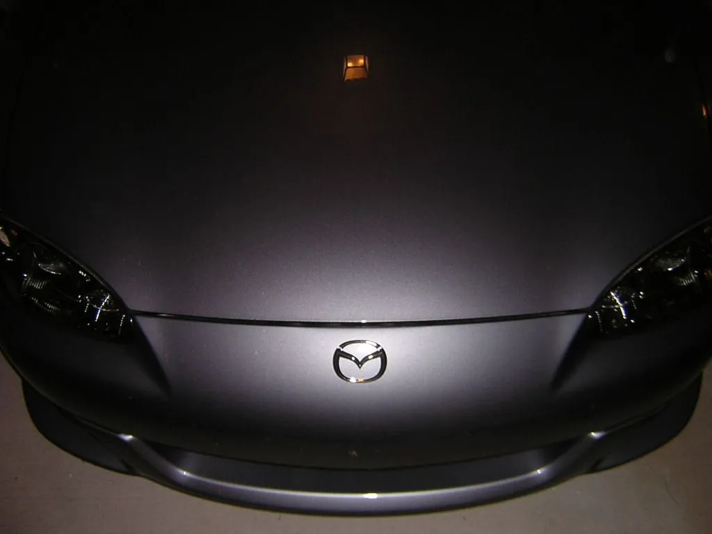 DSCN0845.JPG