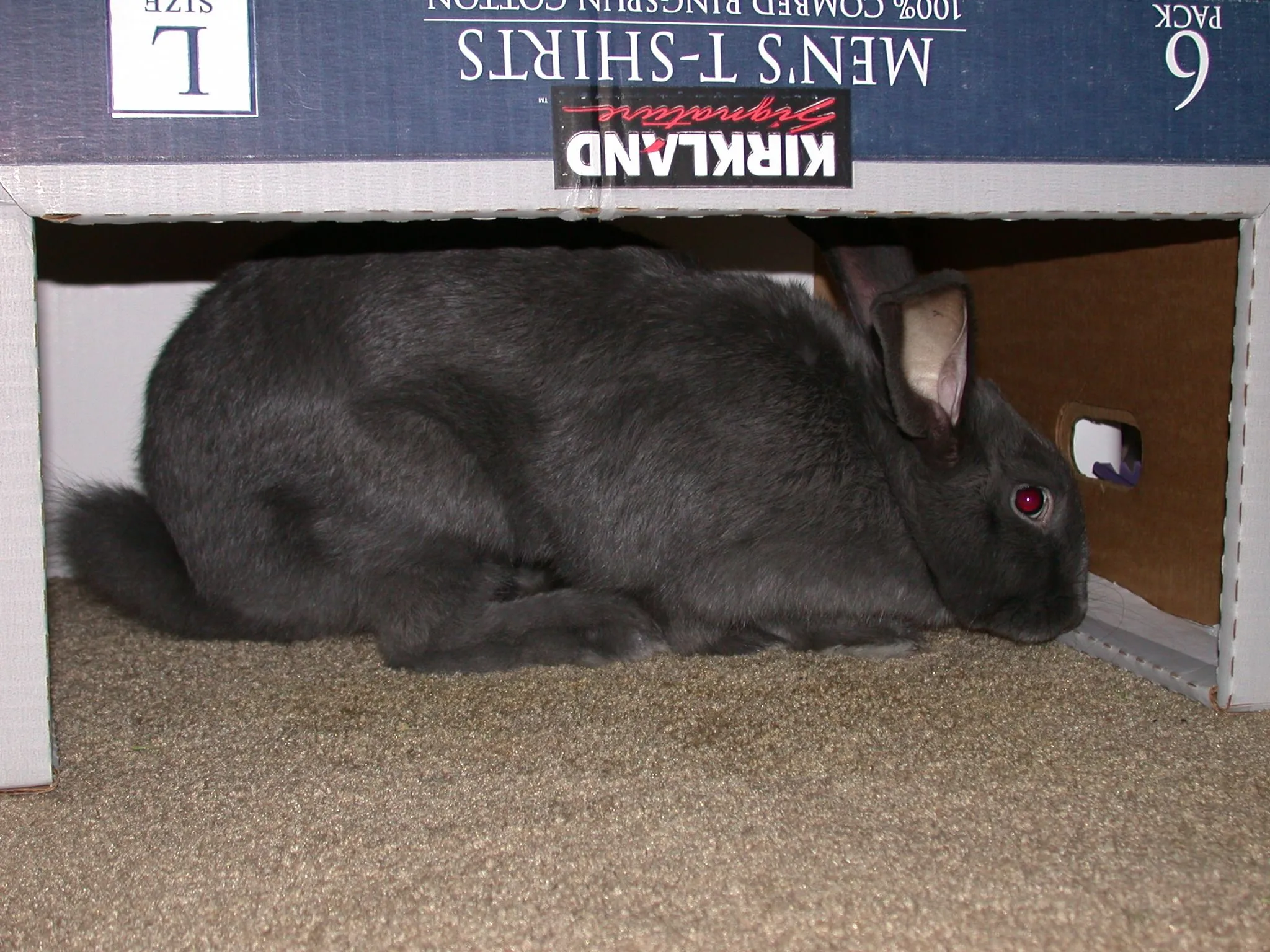DSCN1094.JPG