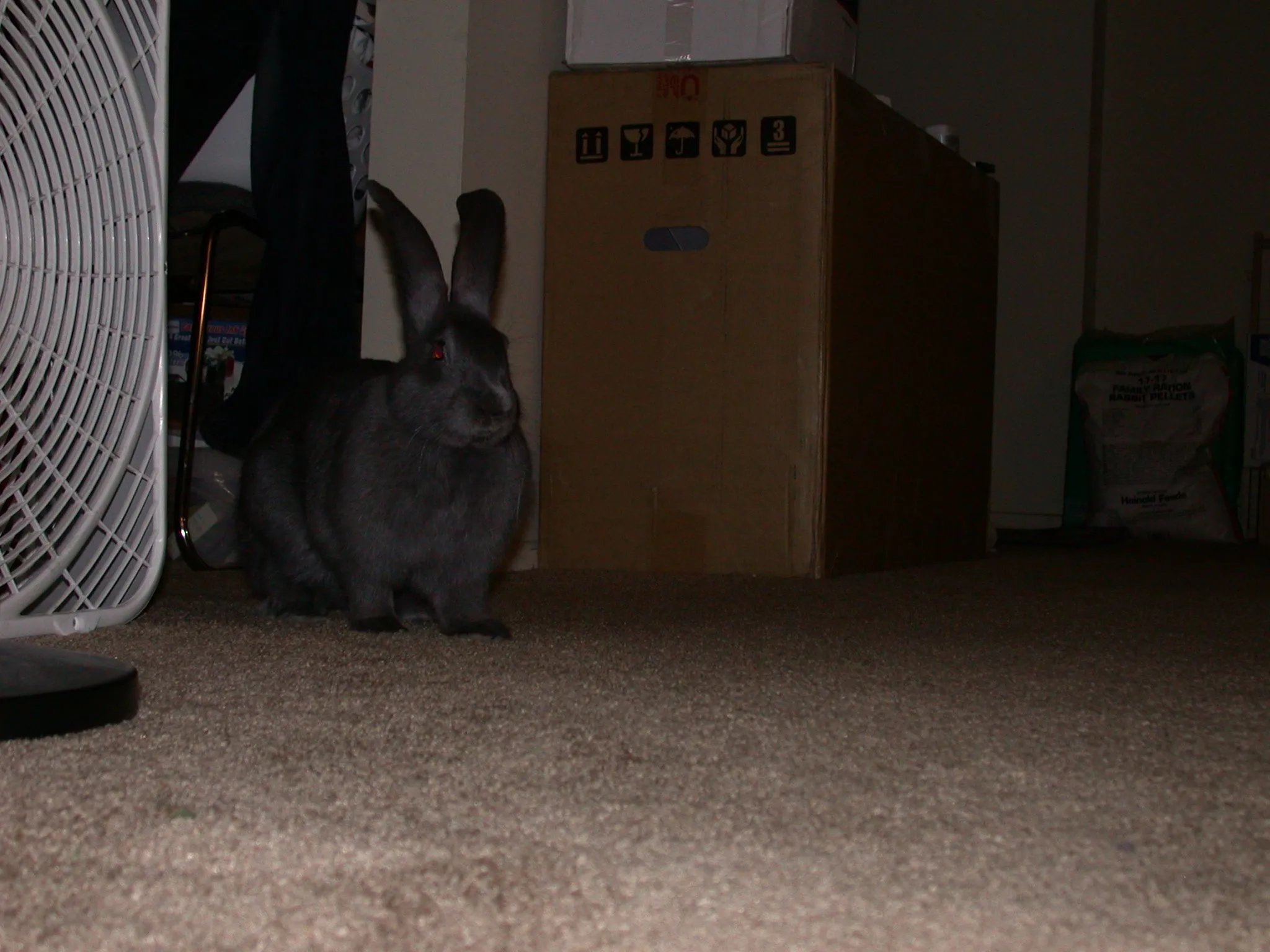 DSCN1095.JPG