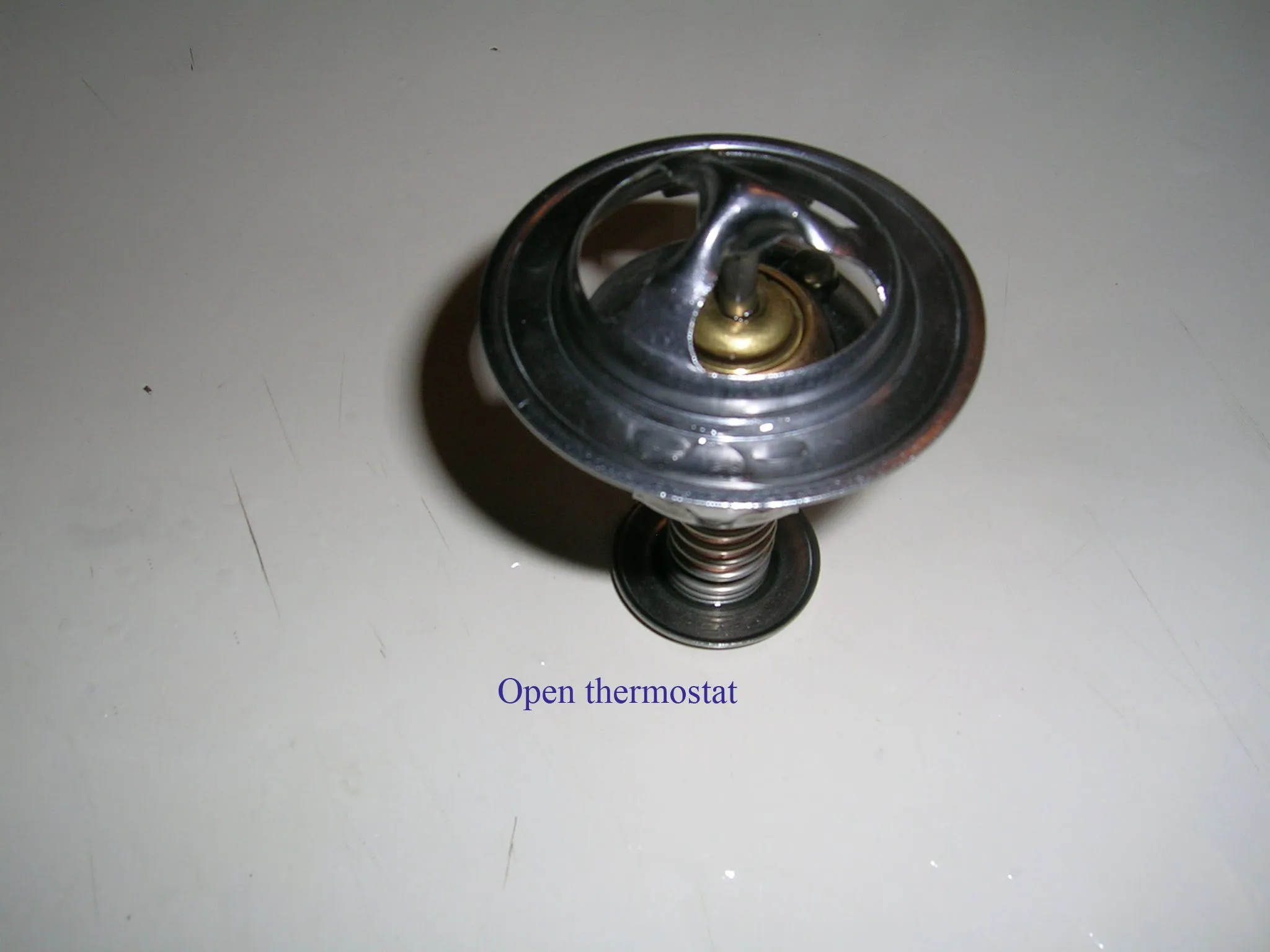 DSCN1183.jpg