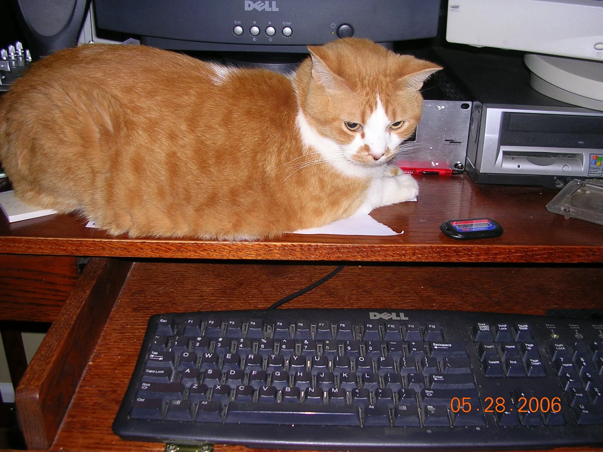 DSCN1208.JPG