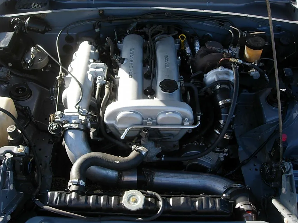 DSCN1497.JPG