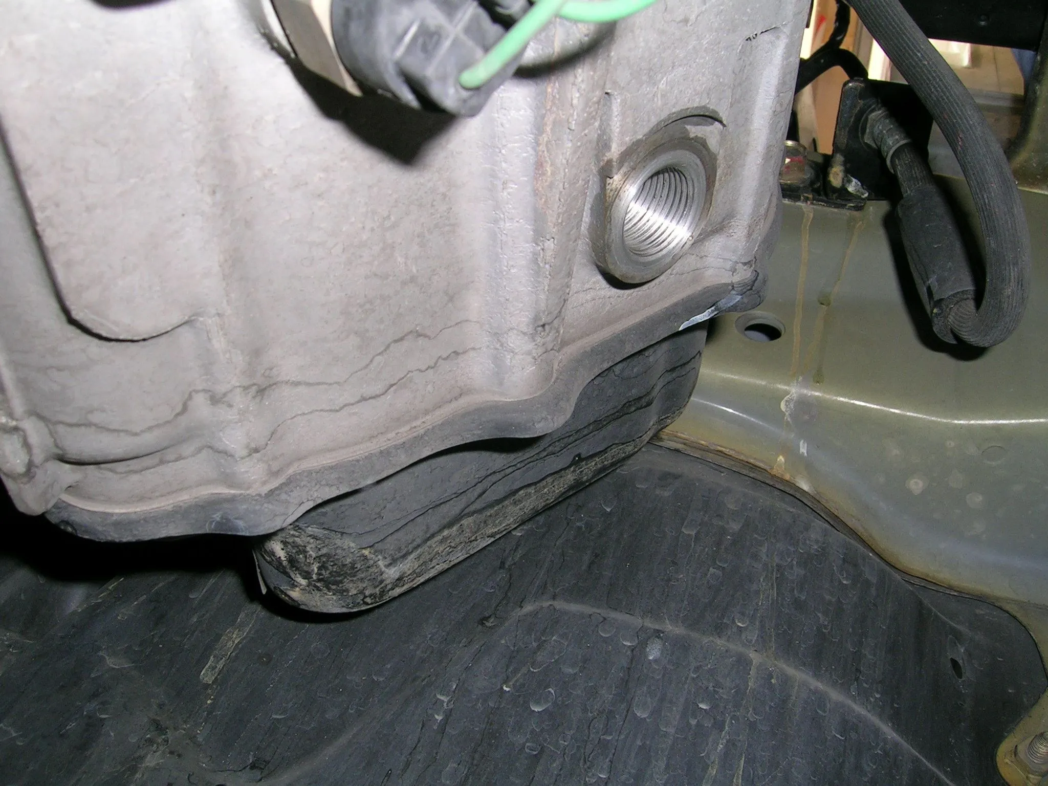DSCN1557.JPG