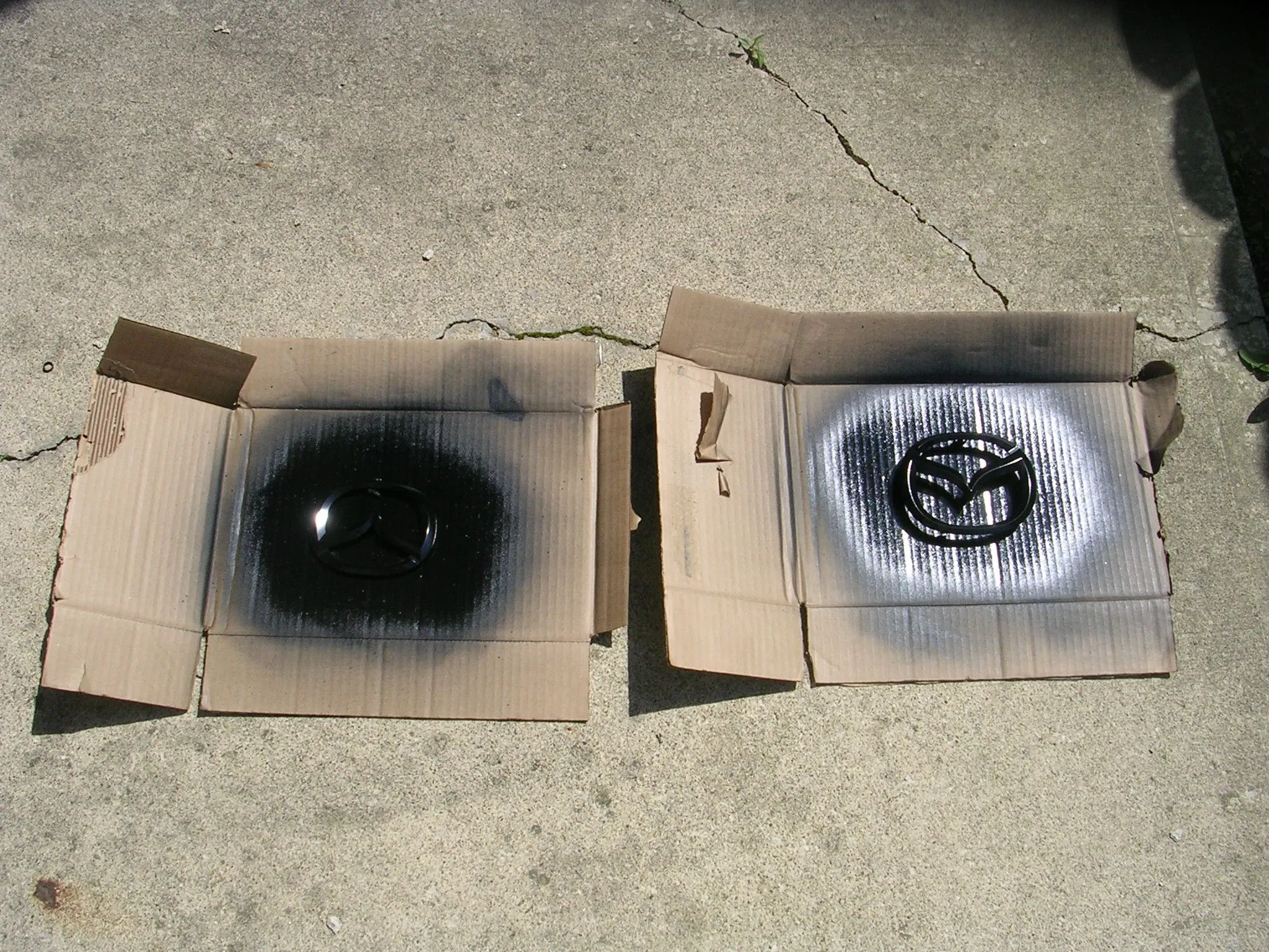 DSCN1765.JPG
