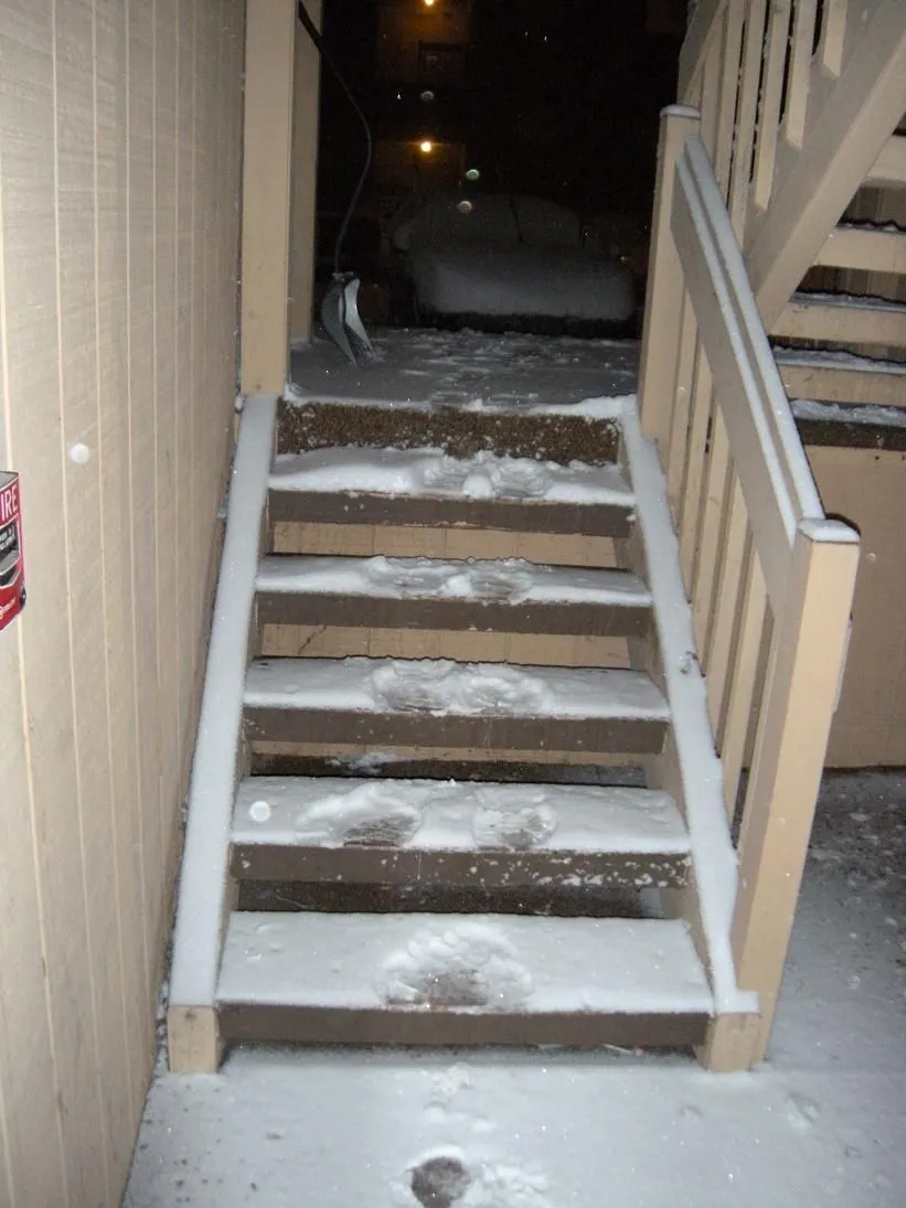 DSCN1824.JPG